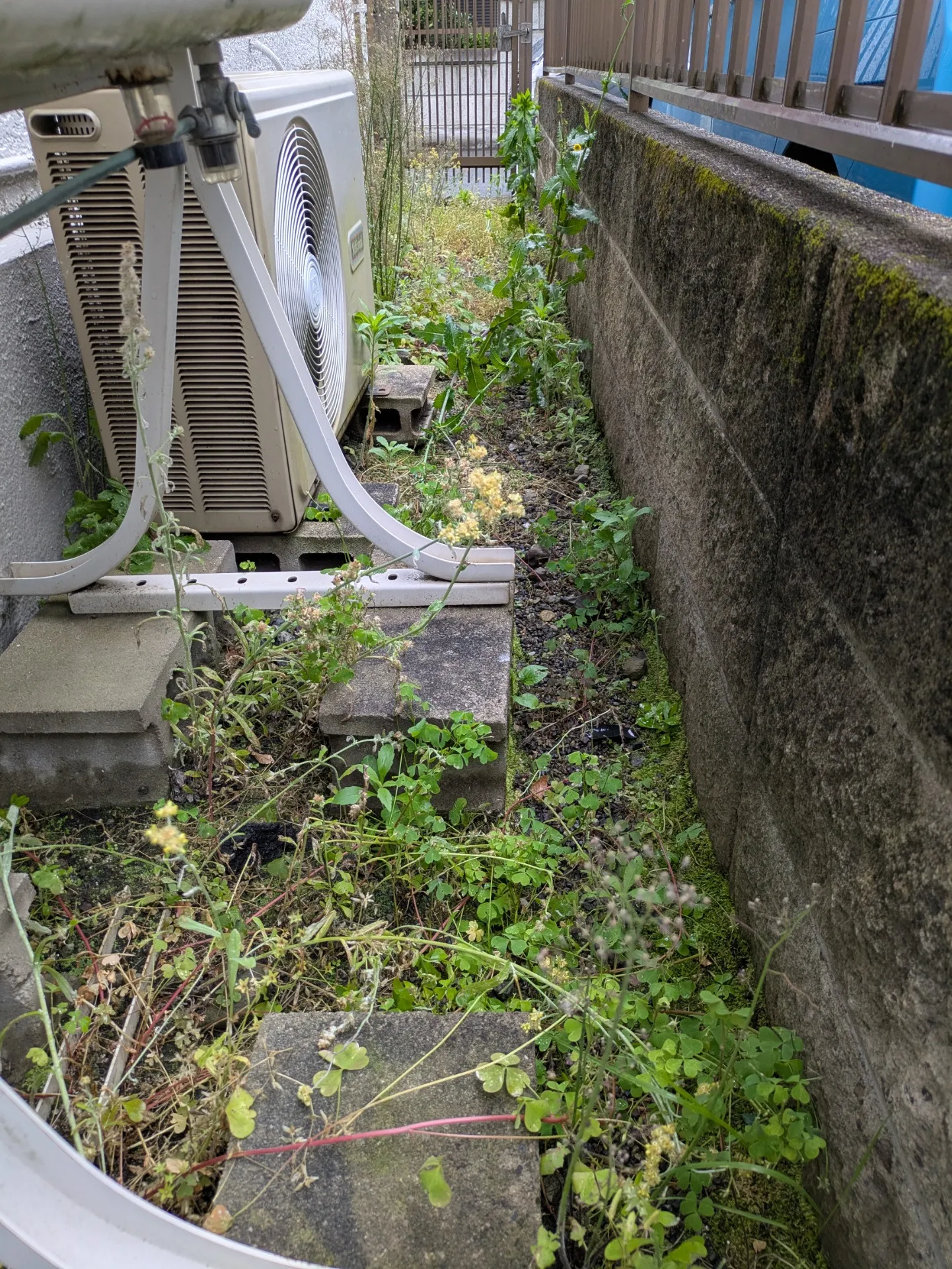 お庭の除草作業ならライフサービス