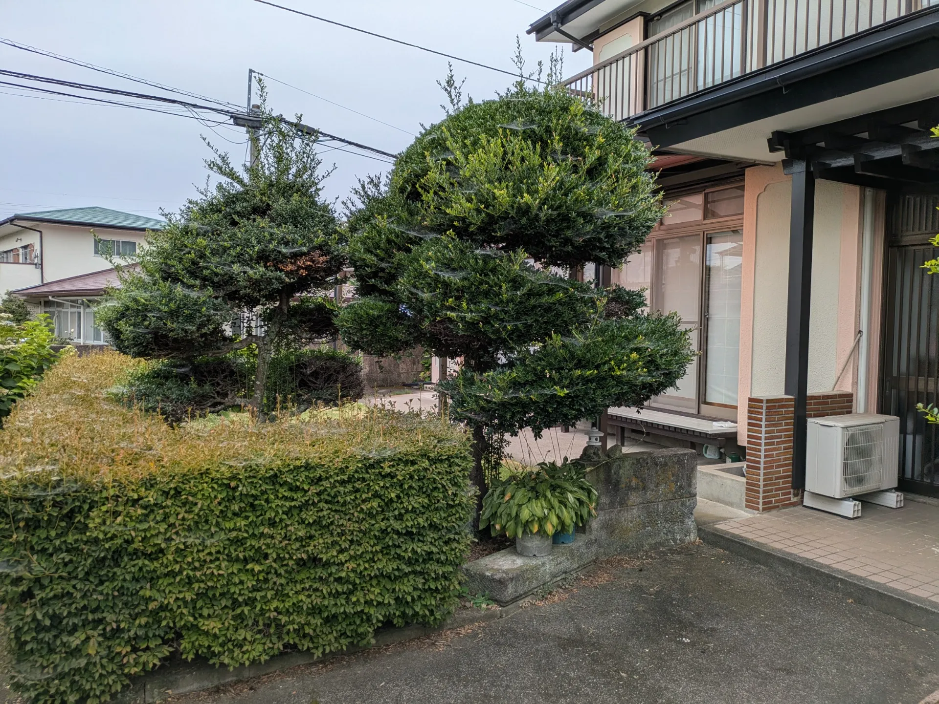 枝木剪定、刈り込み作業